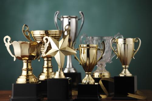 STAR COUNCIL AWARDS - Main Image