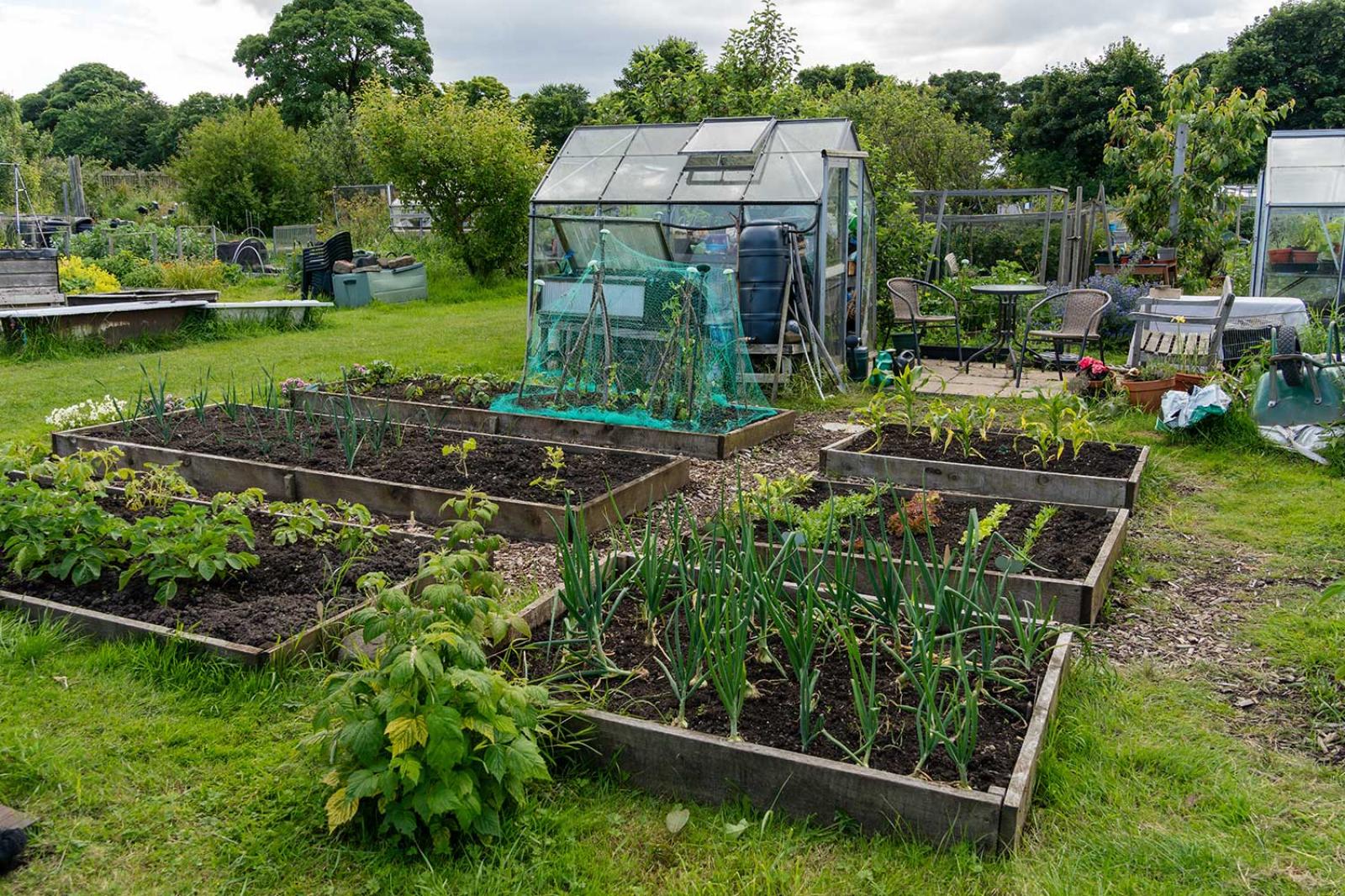 Introduction to local councils