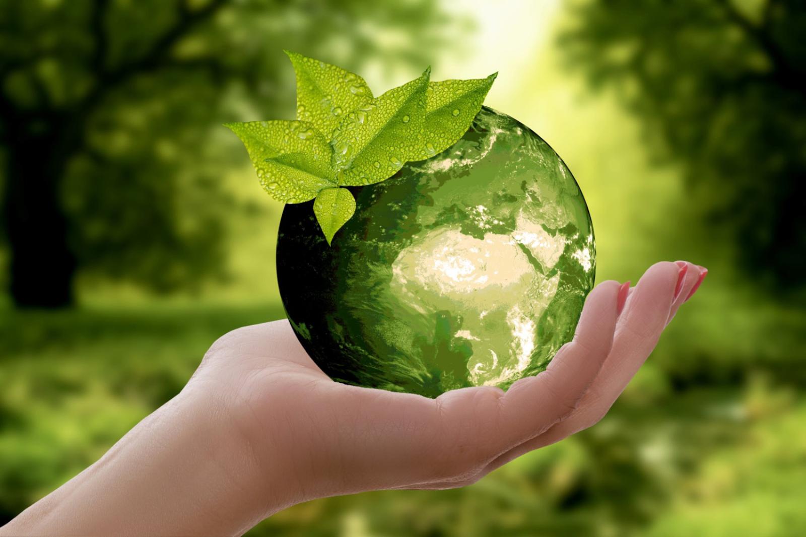 Environmental Awareness Essentials